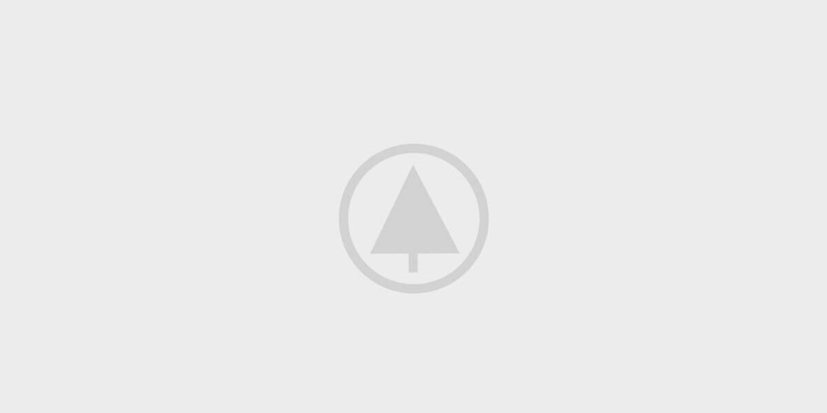 wood-gallery-placeholder-4
